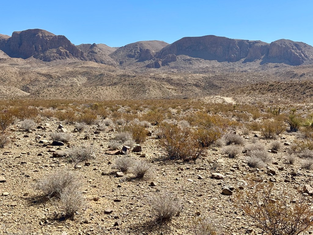 TR 5269 Missle Dr, Terlingua, Texas image 10