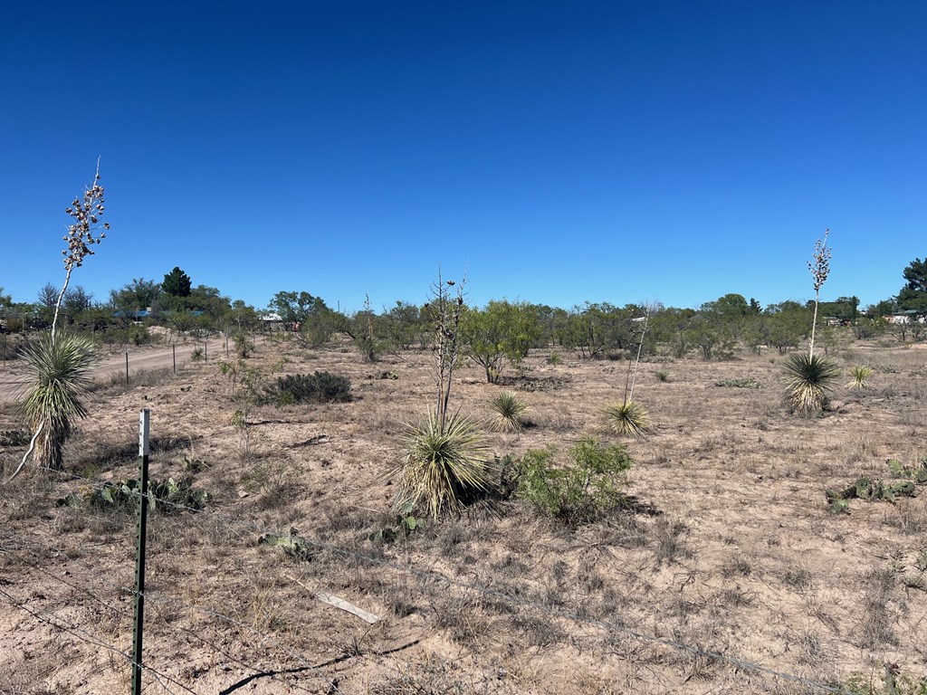 950 Central Dr, Marfa, Texas image 7