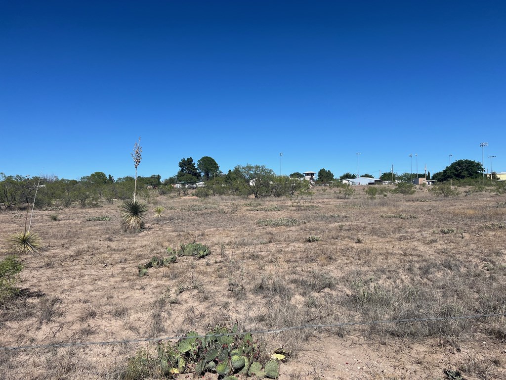 950 Central Dr, Marfa, Texas image 6