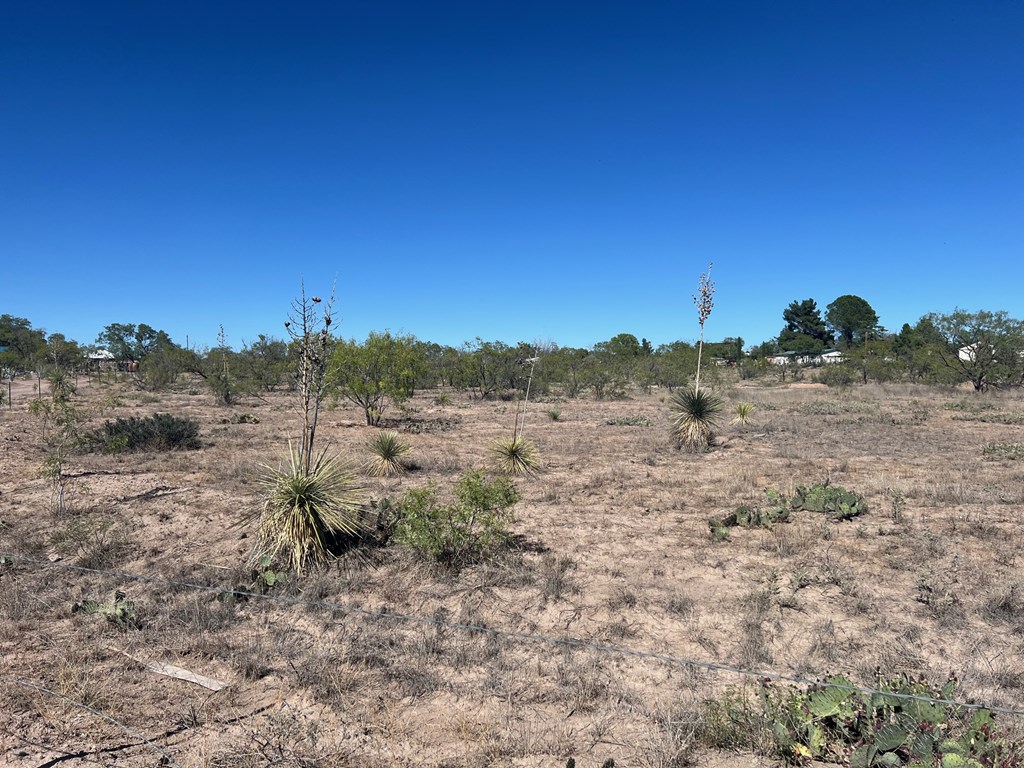 950 Central Dr, Marfa, Texas image 5