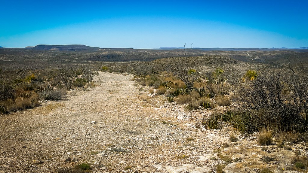 21419 Garnet Ave, Terlingua, Texas image 6