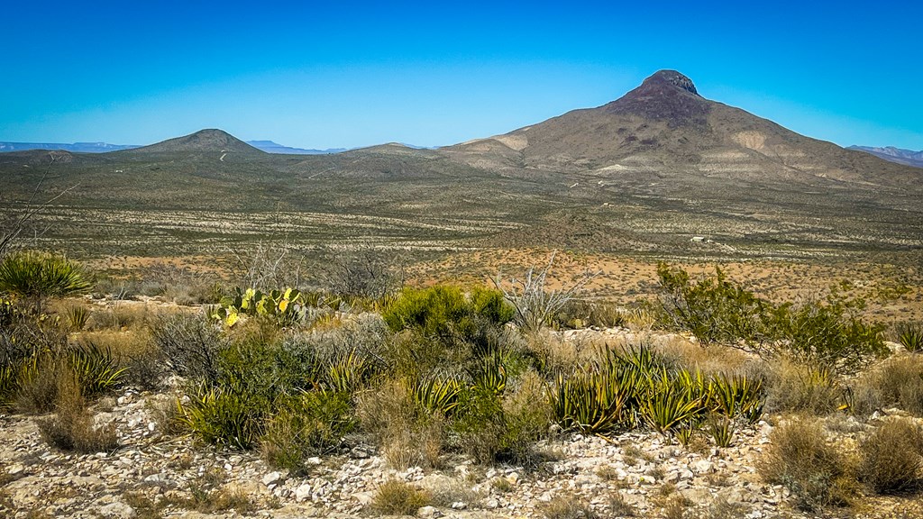 21419 Garnet Ave, Terlingua, Texas image 5