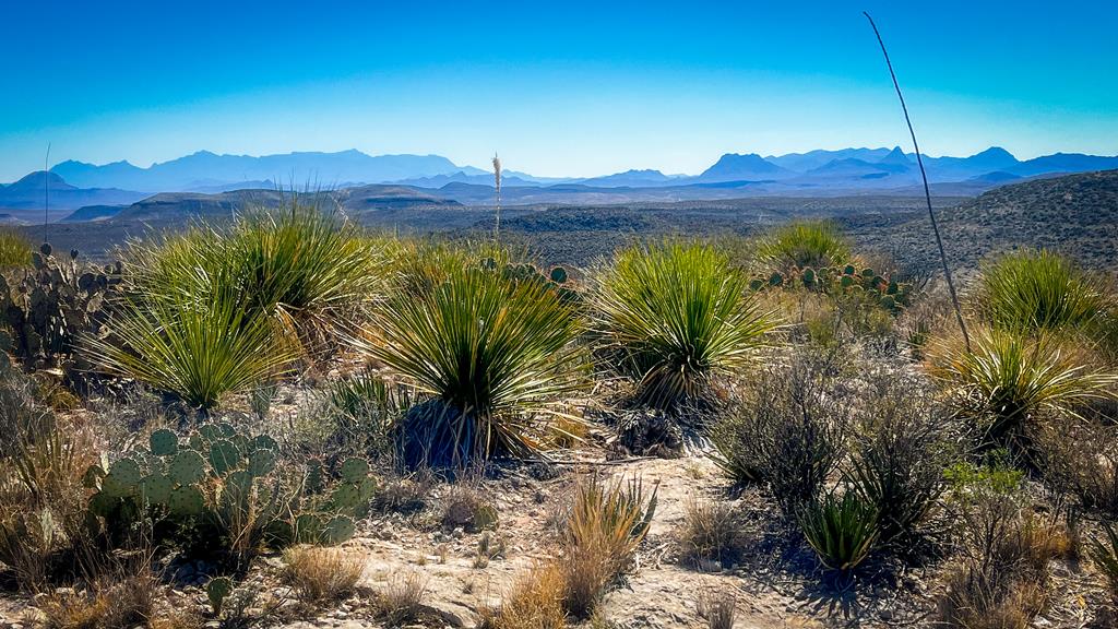 21419 Garnet Ave, Terlingua, Texas image 1