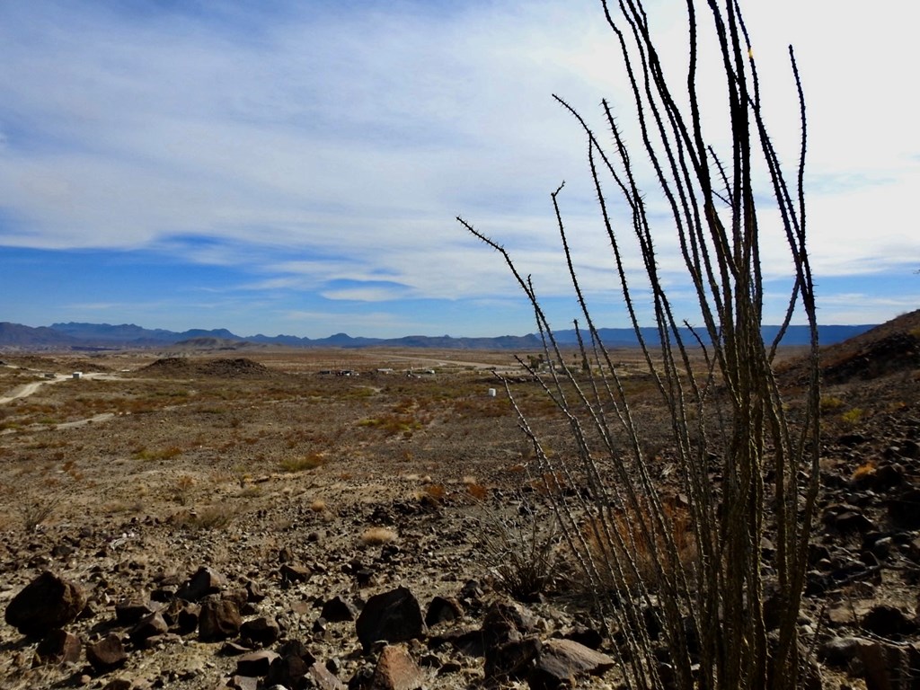 23051 Fm 170, Terlingua, Texas image 15