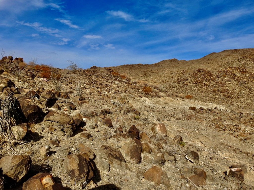 23051 Fm 170, Terlingua, Texas image 21