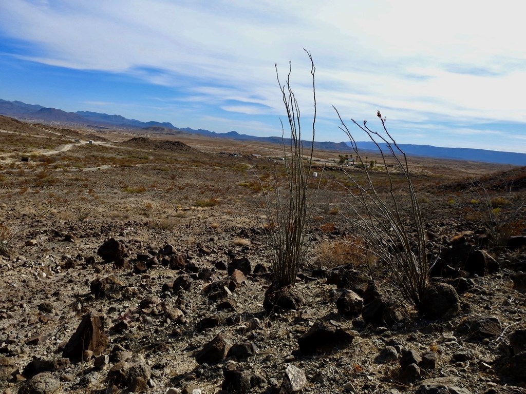 23051 Fm 170, Terlingua, Texas image 16