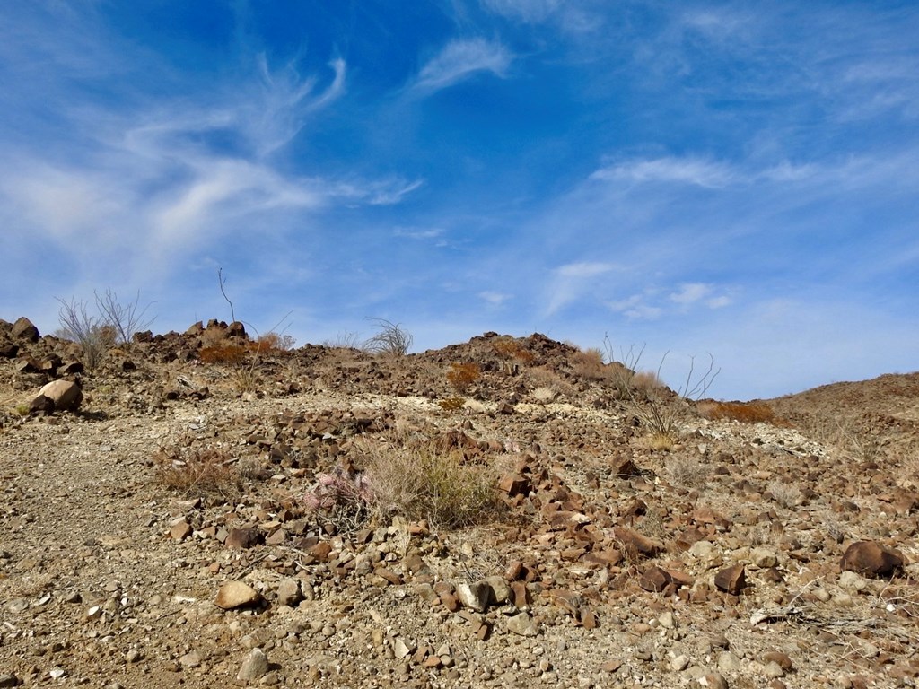 23051 Fm 170, Terlingua, Texas image 8