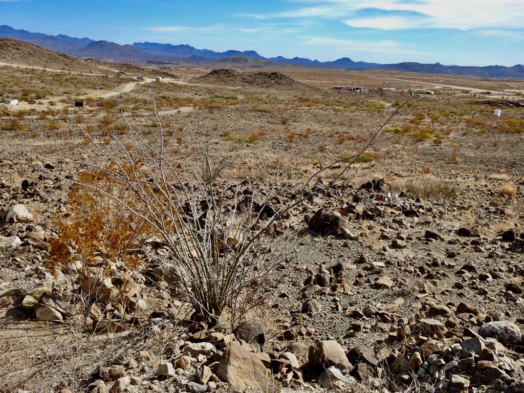 23051 Fm 170, Terlingua, Texas image 10