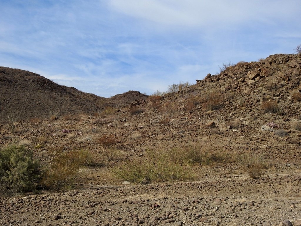 23051 Fm 170, Terlingua, Texas image 4