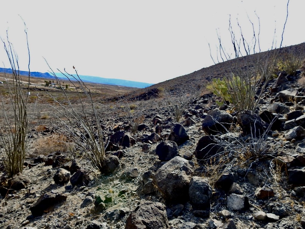 23051 Fm 170, Terlingua, Texas image 17