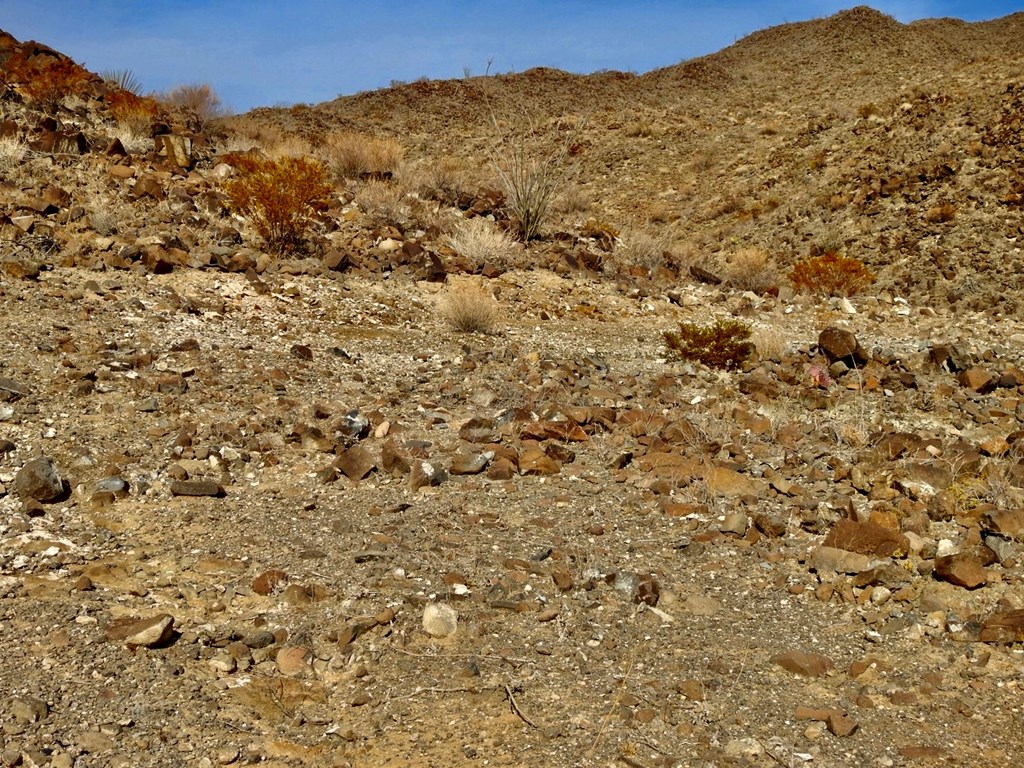 23051 Fm 170, Terlingua, Texas image 23