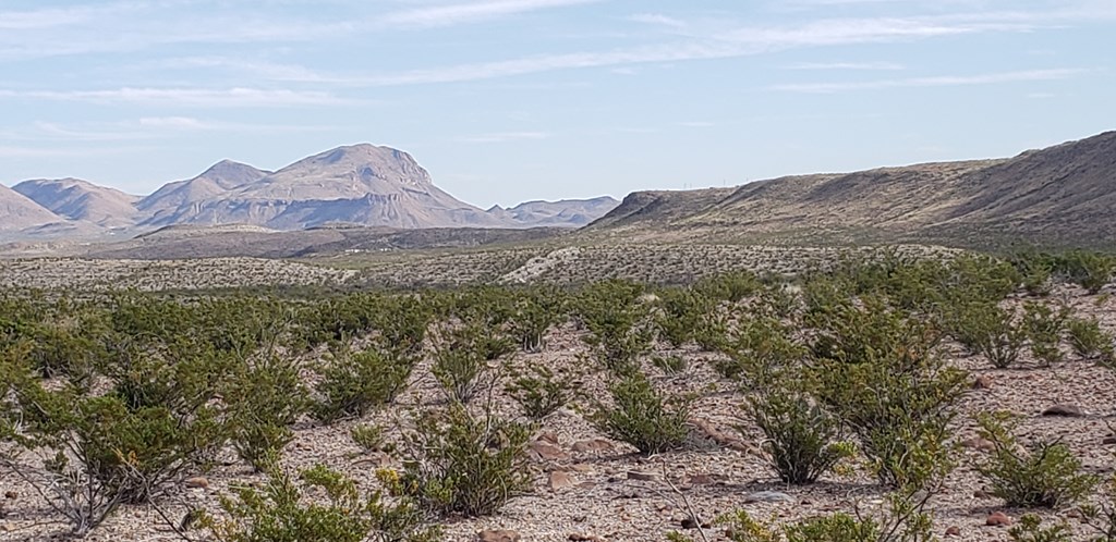 C261 Panther, Terlingua, Texas image 3