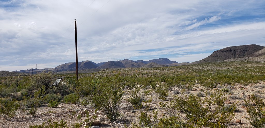 C261 Panther, Terlingua, Texas image 8