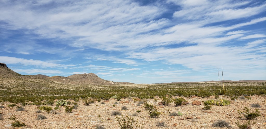 C261 Panther, Terlingua, Texas image 14