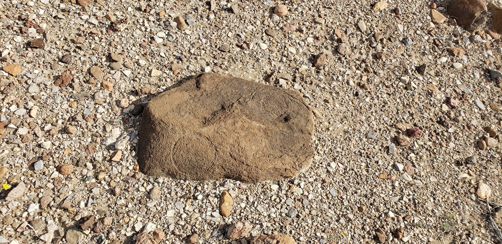 C261 Panther, Terlingua, Texas image 15