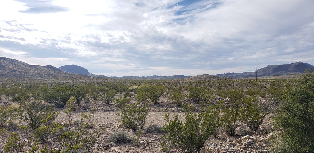 C261 Panther, Terlingua, Texas image 18