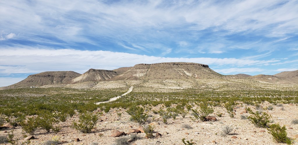 C261 Panther, Terlingua, Texas image 16