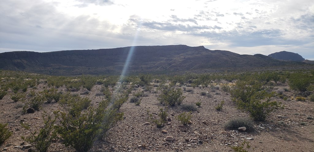 C261 Panther, Terlingua, Texas image 6