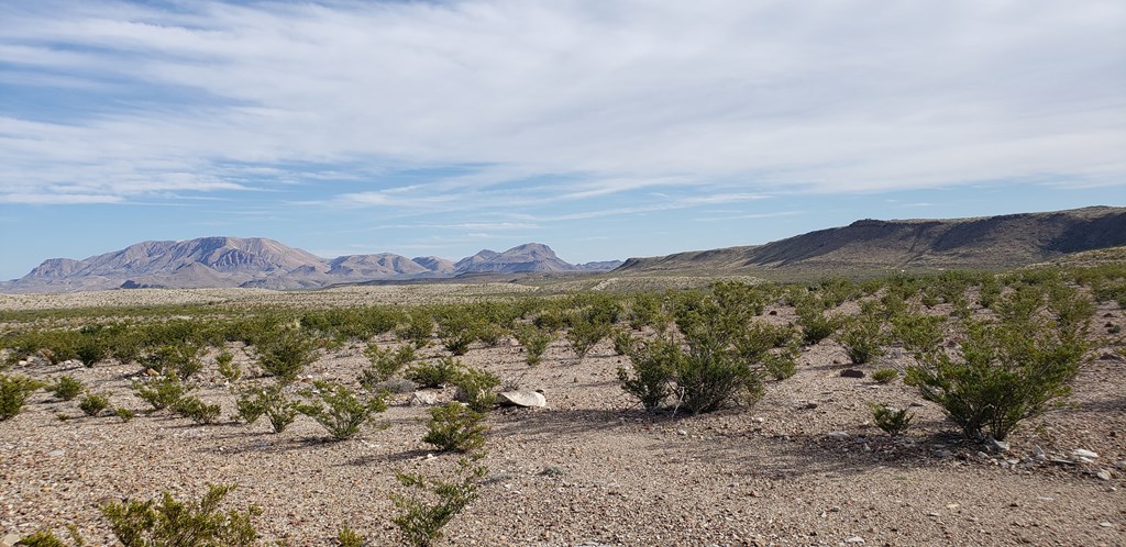 C261 Panther, Terlingua, Texas image 11