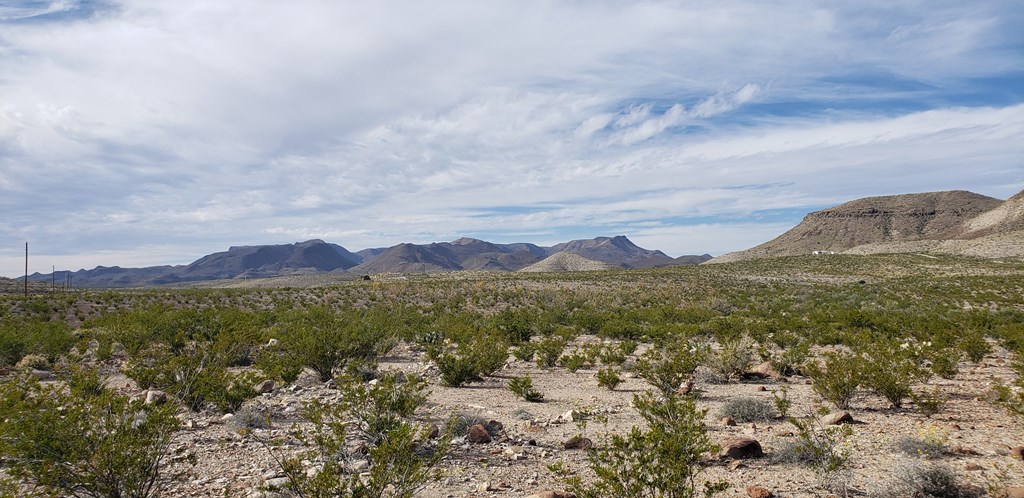 C261 Panther, Terlingua, Texas image 17