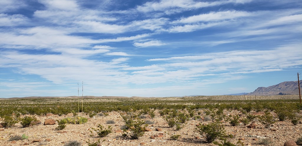 C261 Panther, Terlingua, Texas image 13