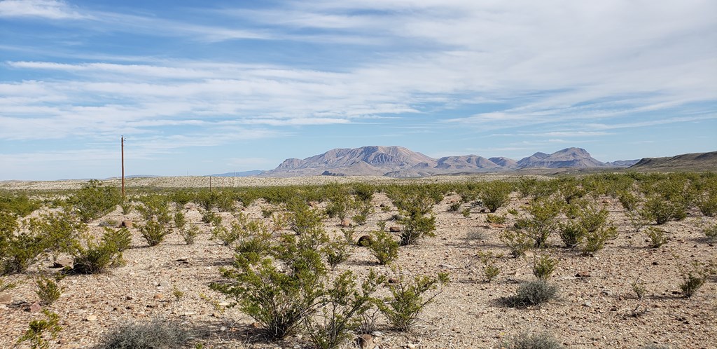 C261 Panther, Terlingua, Texas image 23