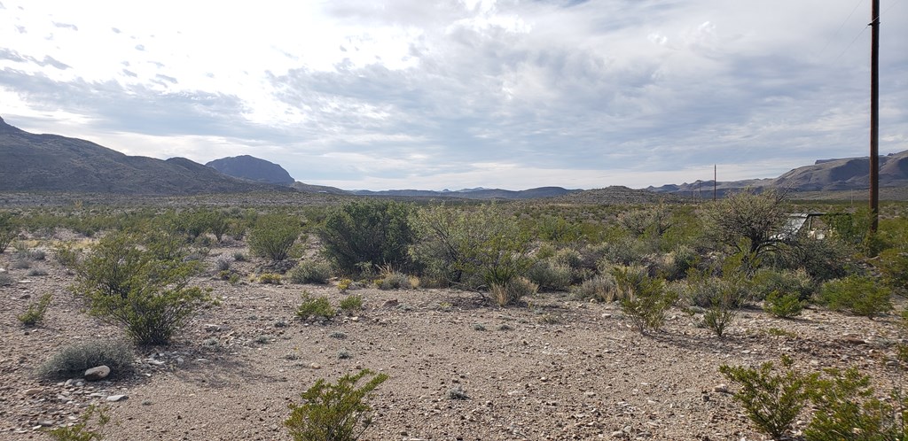 C261 Panther, Terlingua, Texas image 7