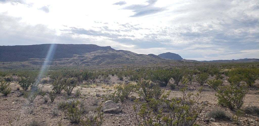 C261 Panther, Terlingua, Texas image 19