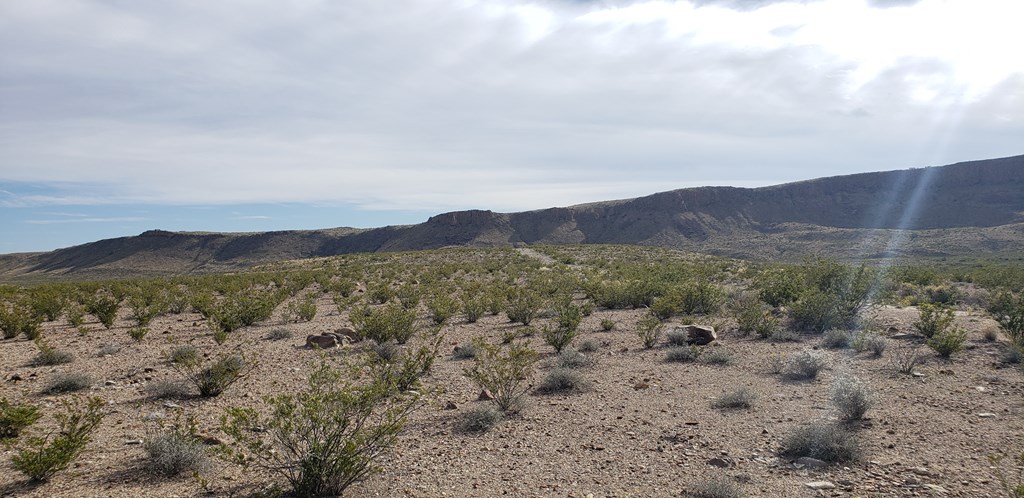 C261 Panther, Terlingua, Texas image 20