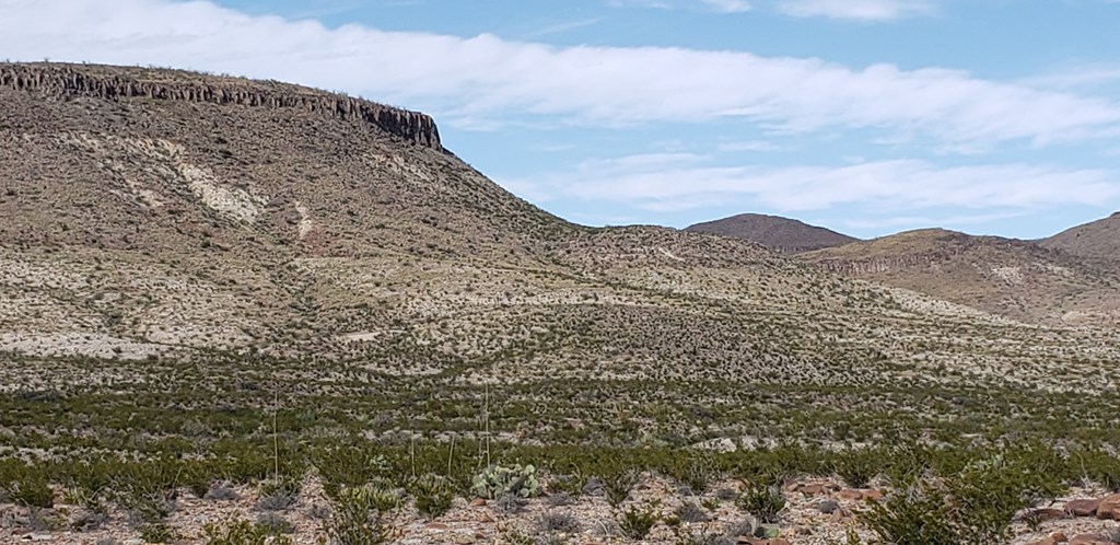 C261 Panther, Terlingua, Texas image 4