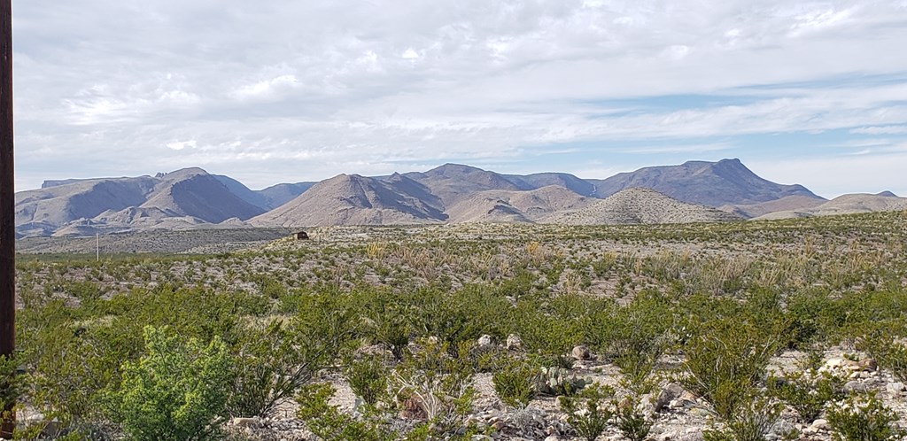 C261 Panther, Terlingua, Texas image 2