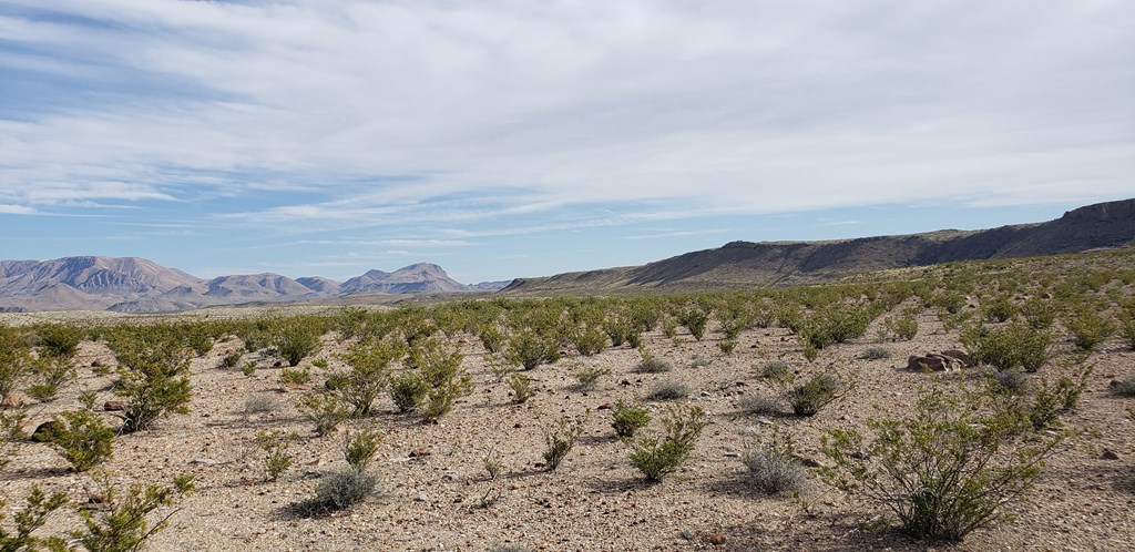 C261 Panther, Terlingua, Texas image 21