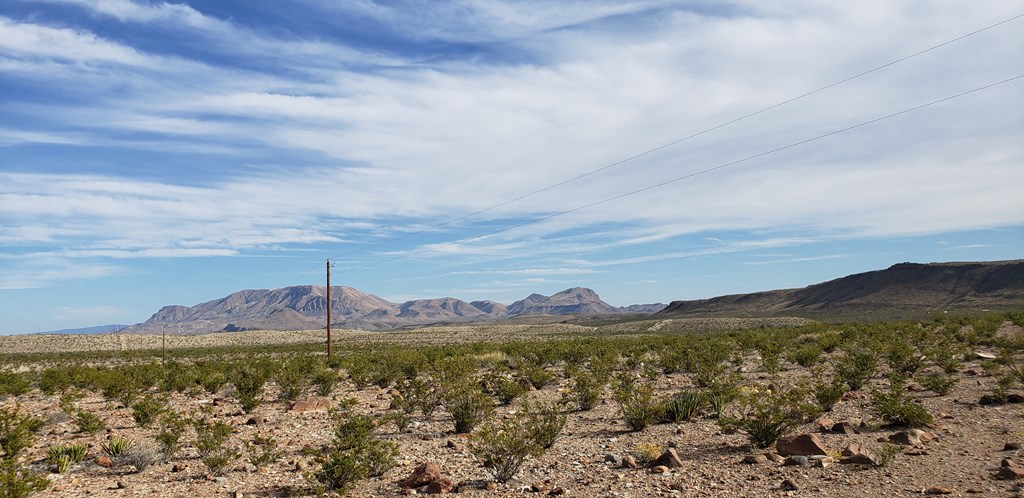 C261 Panther, Terlingua, Texas image 12