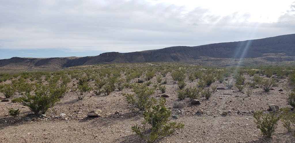 C261 Panther, Terlingua, Texas image 10