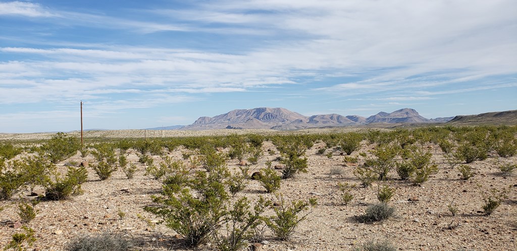 C261 Panther, Terlingua, Texas image 22