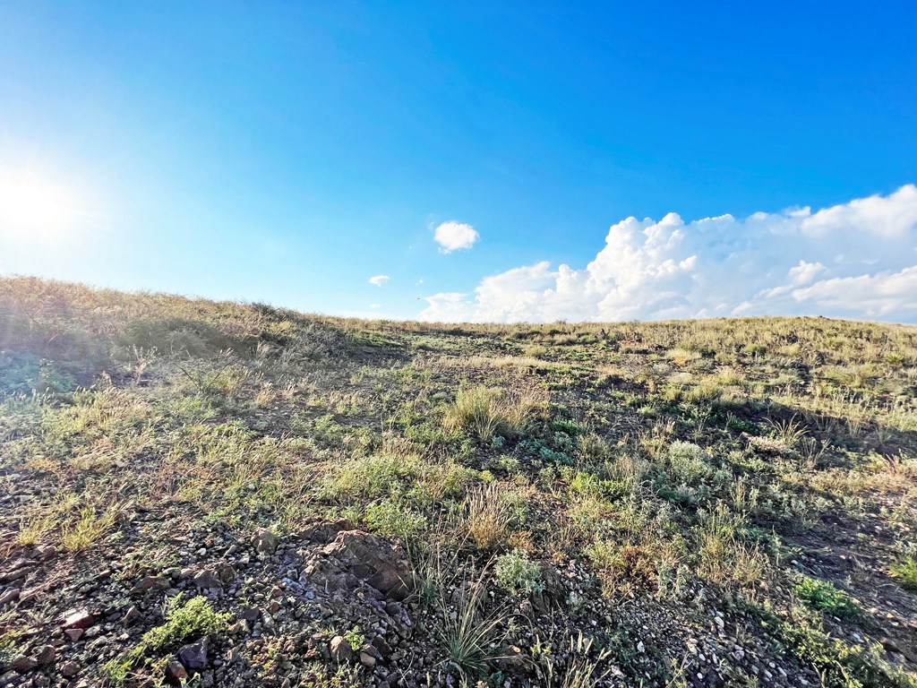 16 Other, Alpine, Texas image 8