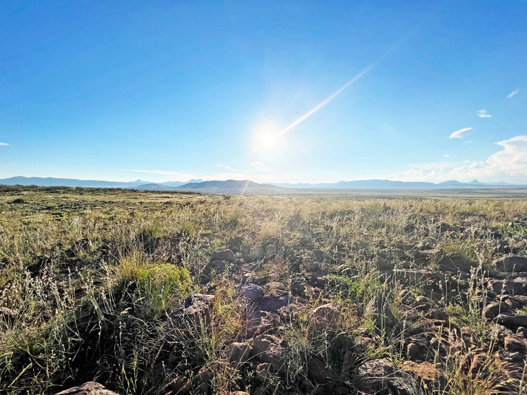 16 Other, Alpine, Texas image 11