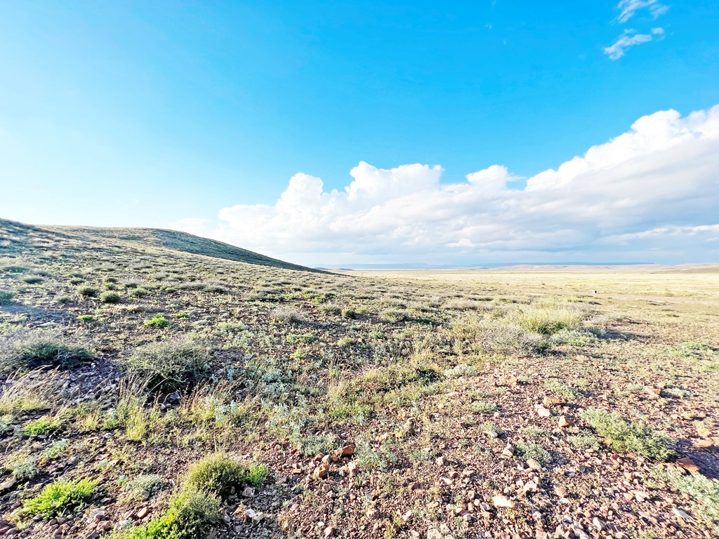 16 Other, Alpine, Texas image 6