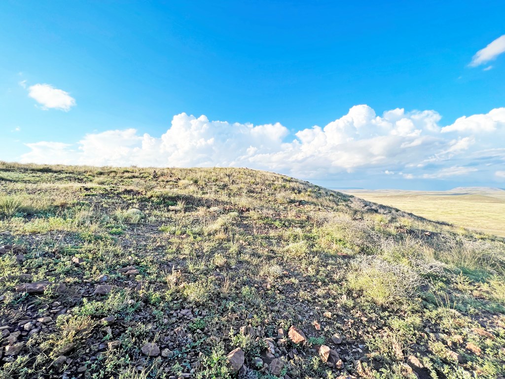 16 Other, Alpine, Texas image 7