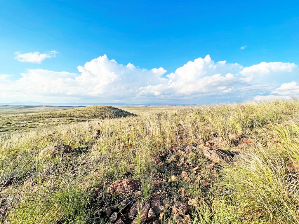 16 Other, Alpine, Texas image 13