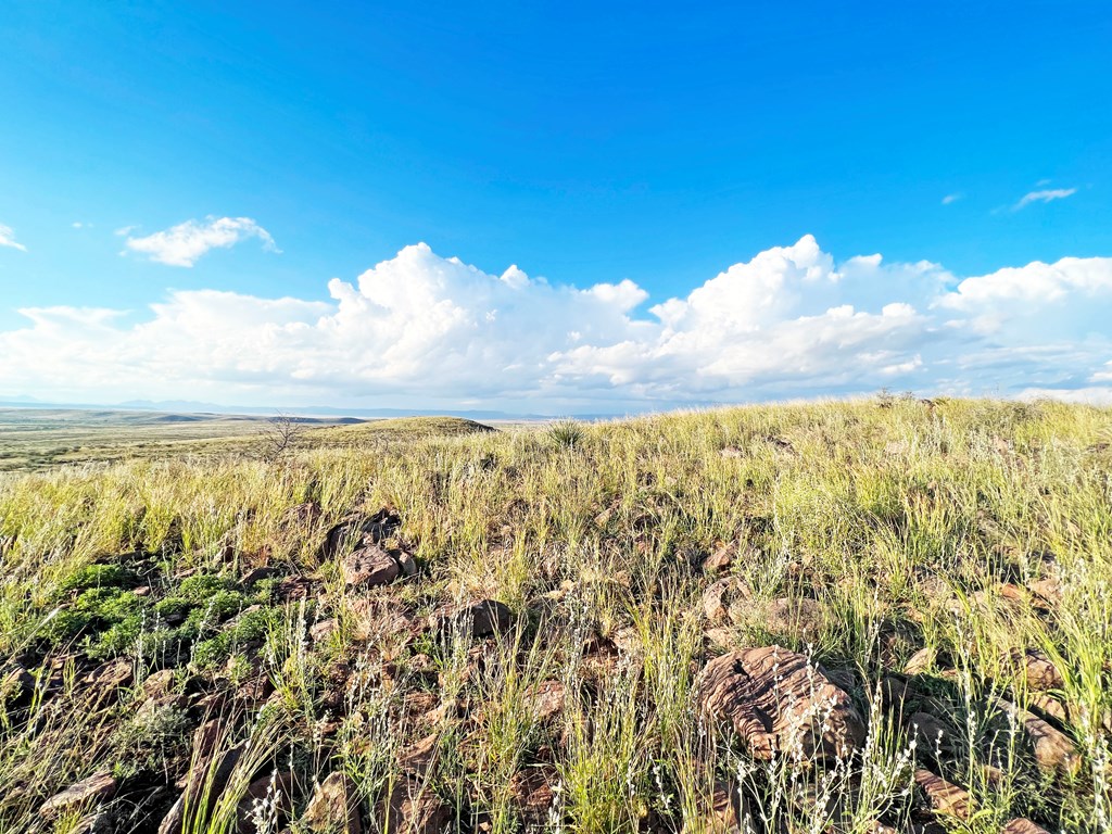 16 Other, Alpine, Texas image 12