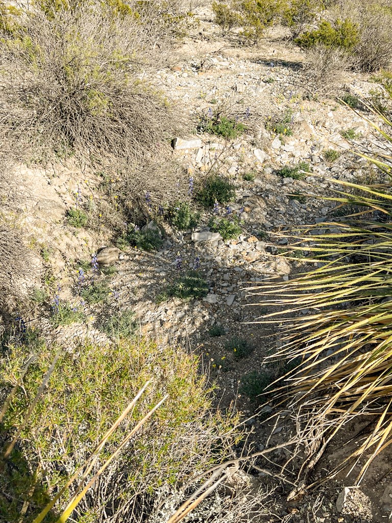 19800 Reimers Road, Terlingua, Texas image 50