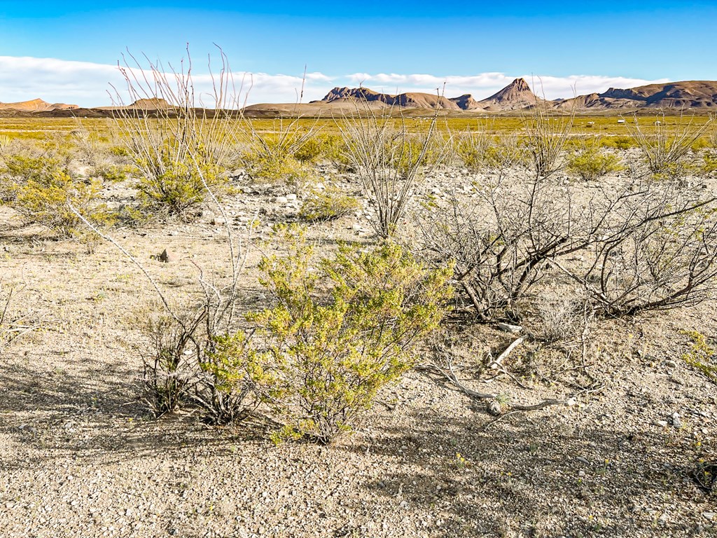 19800 Reimers Road, Terlingua, Texas image 49