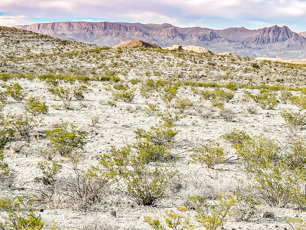 19800 Reimers Road, Terlingua, Texas image 3