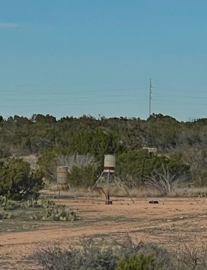 Unknown Unknown, Sheffield, Texas image 15