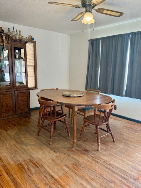 206 SW 4th St, Andrews, Texas image 4