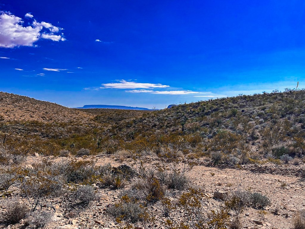 16 Private Rd, Terlingua, Texas image 2