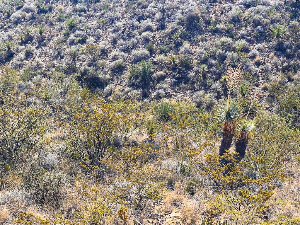 16 Private Rd, Terlingua, Texas image 7