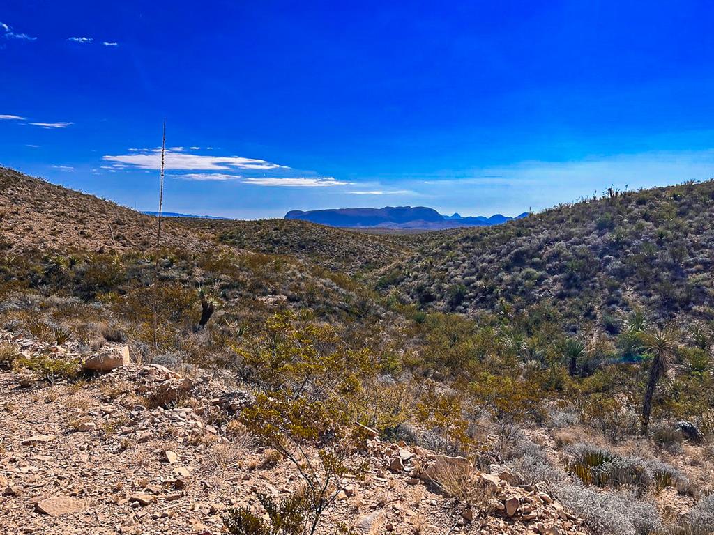 16 Private Rd, Terlingua, Texas image 1