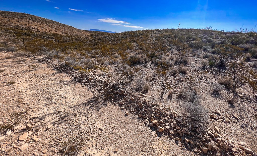 16 Private Rd, Terlingua, Texas image 5